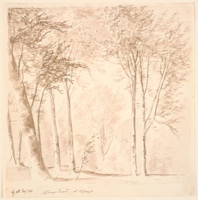 Forest Scene by J.P. Møller