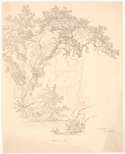 Trees by J.P. Møller