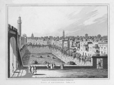 Pool of Bethesda by J. Clarke