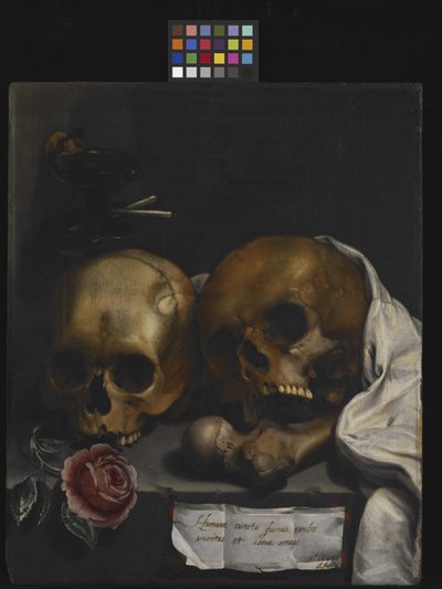 Vanitas Still Life by J Falk