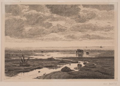 The River