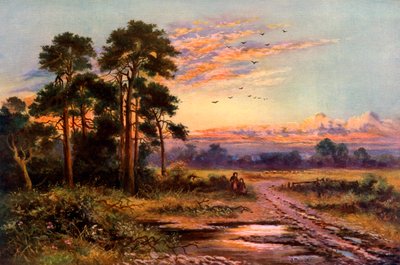 Autumn Sunset by J Maurice