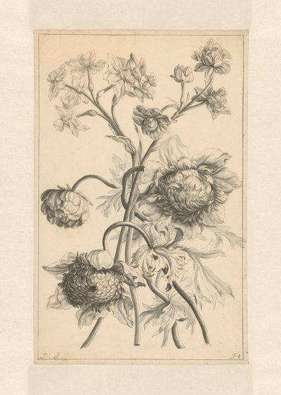 Two Branches with a Peony by J. Porteret