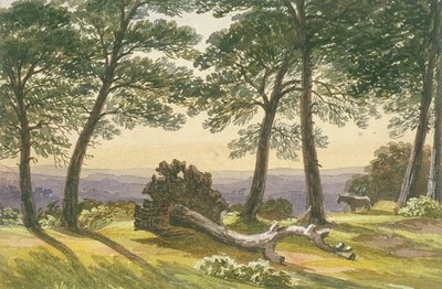 Hampstead Heath, London, c. 1830 by J Powell