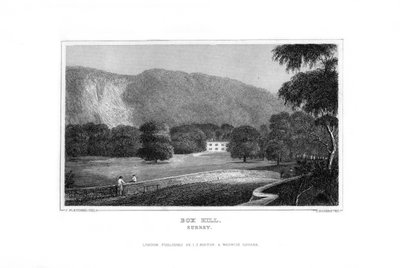 Box Hill, Surrey by J. Rogers