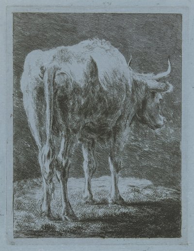 Cow in a Landscape by Jabes Heenck