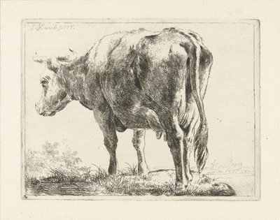 Standing Cow by Jabes Heenck