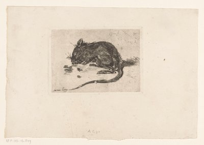 Mouse by Jac van Looij