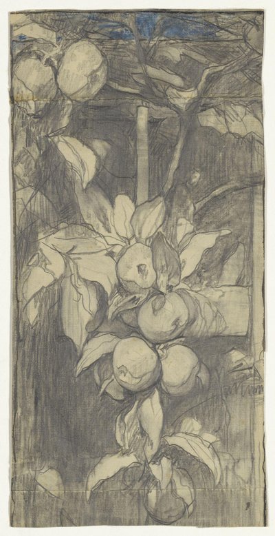 Bunch of Keizer-Alexander Apples by Jac van Looij