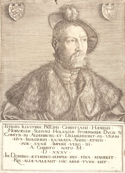 Portrait of King Christian III by Jacob Binck