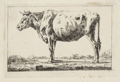 Standing Ox, Facing Left by Jacob Elias van Varelen