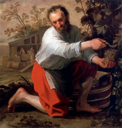 Winegrower by Jacob Gerritsz Cuyp
