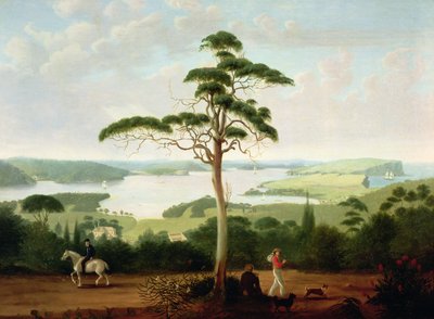 Sydney Harbour looking towards the Heads by Jacob Janssen