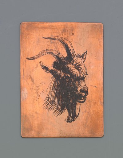 Head of a goat by Jacob Maris