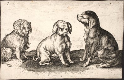 Three Small Dogs by Jacob Matham