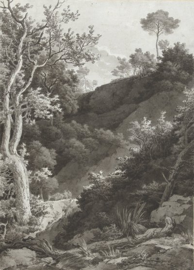 Wooded Mountain Slope by Jacob Philipp Hackert