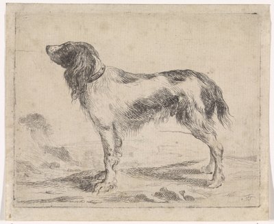 Standing Dog by Jacob Toorenvliet