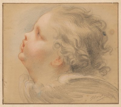 Head of a Cherub, Facing Left by Jacob de Wit