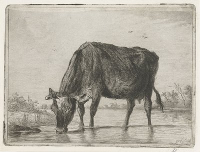Drinking Cow by Jacobus Cornelis Gaal
