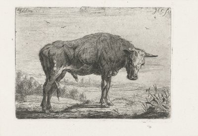 Standing Bull by Jacobus Cornelis Gaal