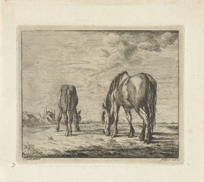 Two Grazing Horses by Jacobus Cornelis Gaal