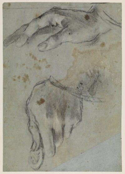 Studies of Hands, Recto, 16th Century by Jacopo Bassano