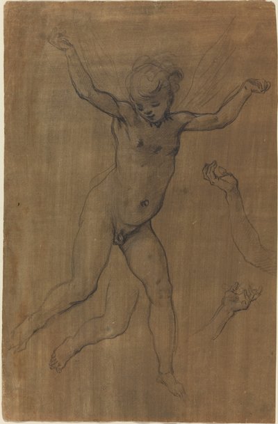 An Angel in Flight by Jacopo Chimenti