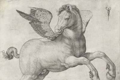 Pegasus, 1509-16 by Jacopo de Barbari