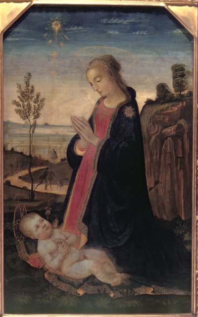Madonna and Child in a Landscape by Jacopo del Sellaio