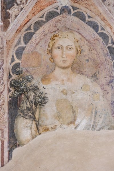 Allegory of the Dialectic by Jacopo di Cione