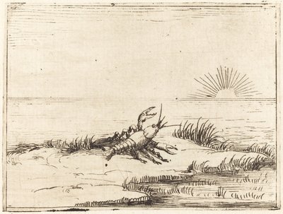 Crayfish Looking at the Sun by Jacques Callot