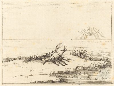 Crayfish Looking at the Sun by Jacques Callot