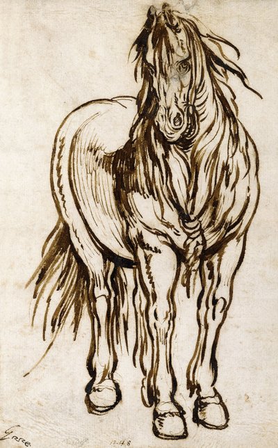 Study of a Horse by Jacques Callot