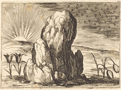 The Tulips and the Sun by Jacques Callot