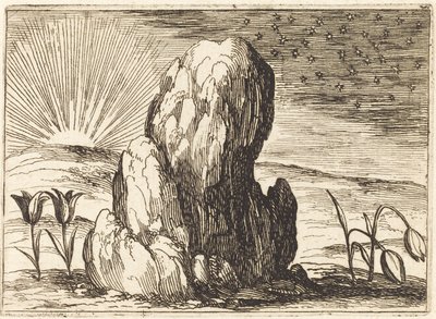 The Tulips and the Sun by Jacques Callot