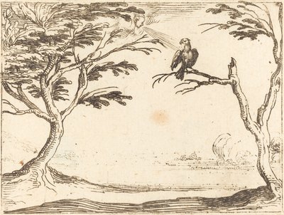 The Vulture by Jacques Callot