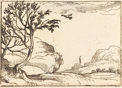 Turtle Dove Flying in the Desert by Jacques Callot