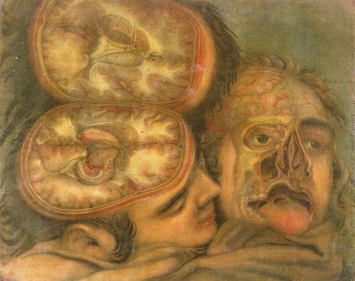 Cross-section of the Brain by Jacques Fabien Gautier d