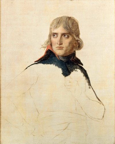 Portrait of General Napoléon Bonaparte by Jacques Louis David