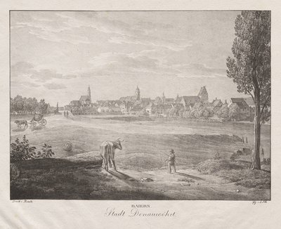 Bavaria, City of Donauwörth by Jakob Alt