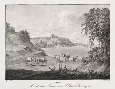 Syrmia, Market and Ruins of Sharengrad Castle by Jakob Alt
