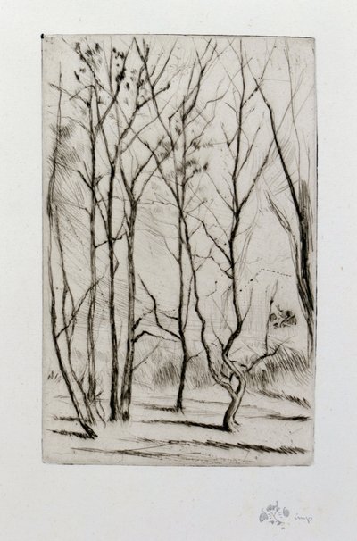 The Dam Wood by James Abbott McNeill Whistler