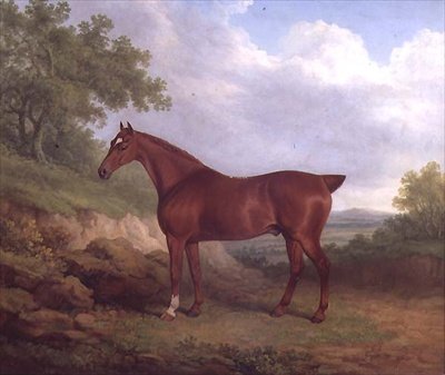 A Chestnut Thoroughbred by James Barenger