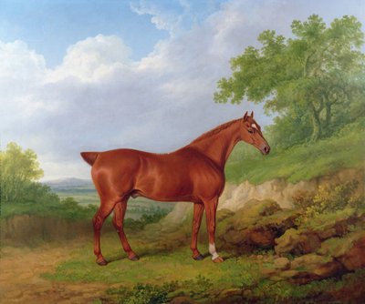 Chestnut Hunter in a Landscape by James Barenger