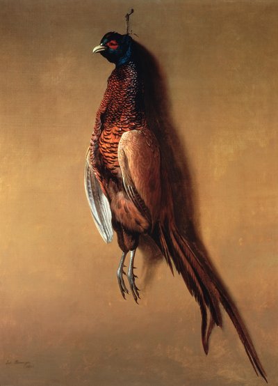 Hanging Cock Pheasant by James Barenger