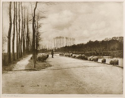 A Utrecht Pastoral by James Craig Annan