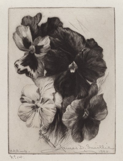 A Bunch of Pansies by James David Smillie