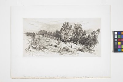 A Fallow Field by James David Smillie