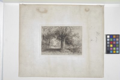 Landscape by James David Smillie
