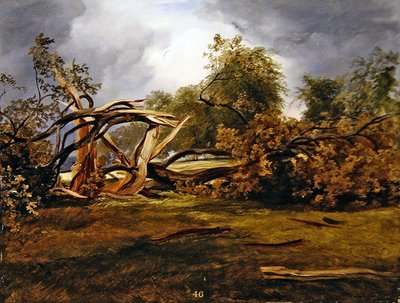 The Blasted Oak by James Giles